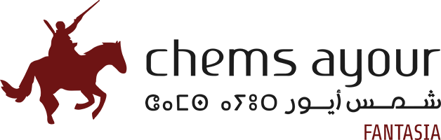 Chems Ayour